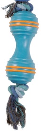 Record Dog Toy 21cm
