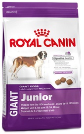 Royal Canin SHN Giant Junior 15kg