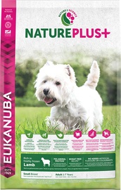 Sausā suņu barība Eukanuba, jēra gaļa/rīsi, 10 kg