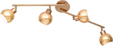 Wofi Fara Wall Lamp 4x28W G9 Gold
