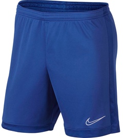 Шорты Nike, синий, 2XL