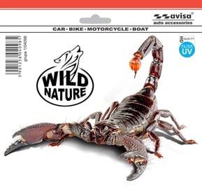 Наклейка на машину Avisa Scorpion, 15 см x 20 см