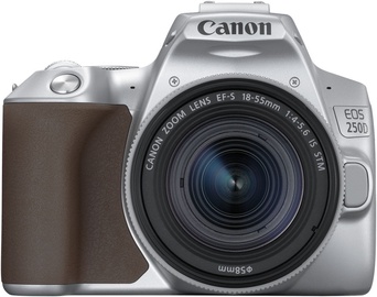 Peegelfotoaparaat Canon EOS 250D + 18-55mm IS STM Kit Silver