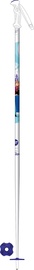 Suusakepid Rossignol Frozen Jr Poles 105