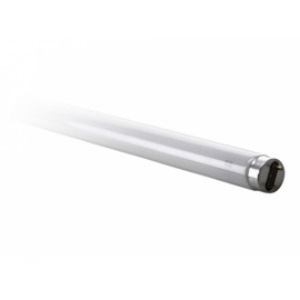 Lambipirn Spectrum Luminofoorlamp, T8, soe valge, G13, 18 W, 1650 lm