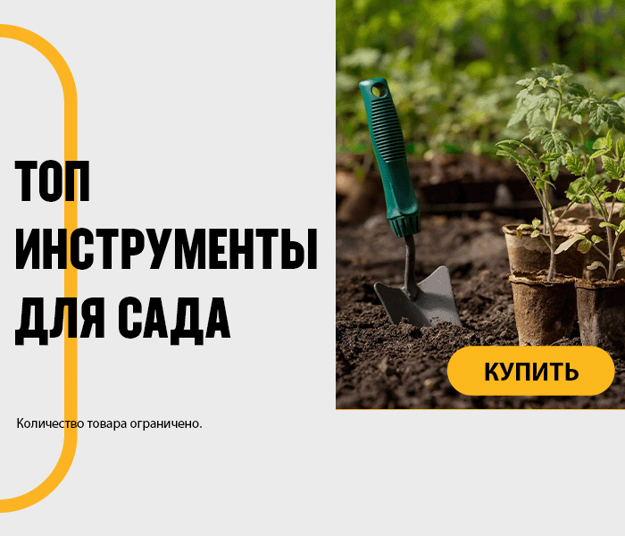 ТОП ИНСТРУМЕНТЫ ДЛЯ САДА
