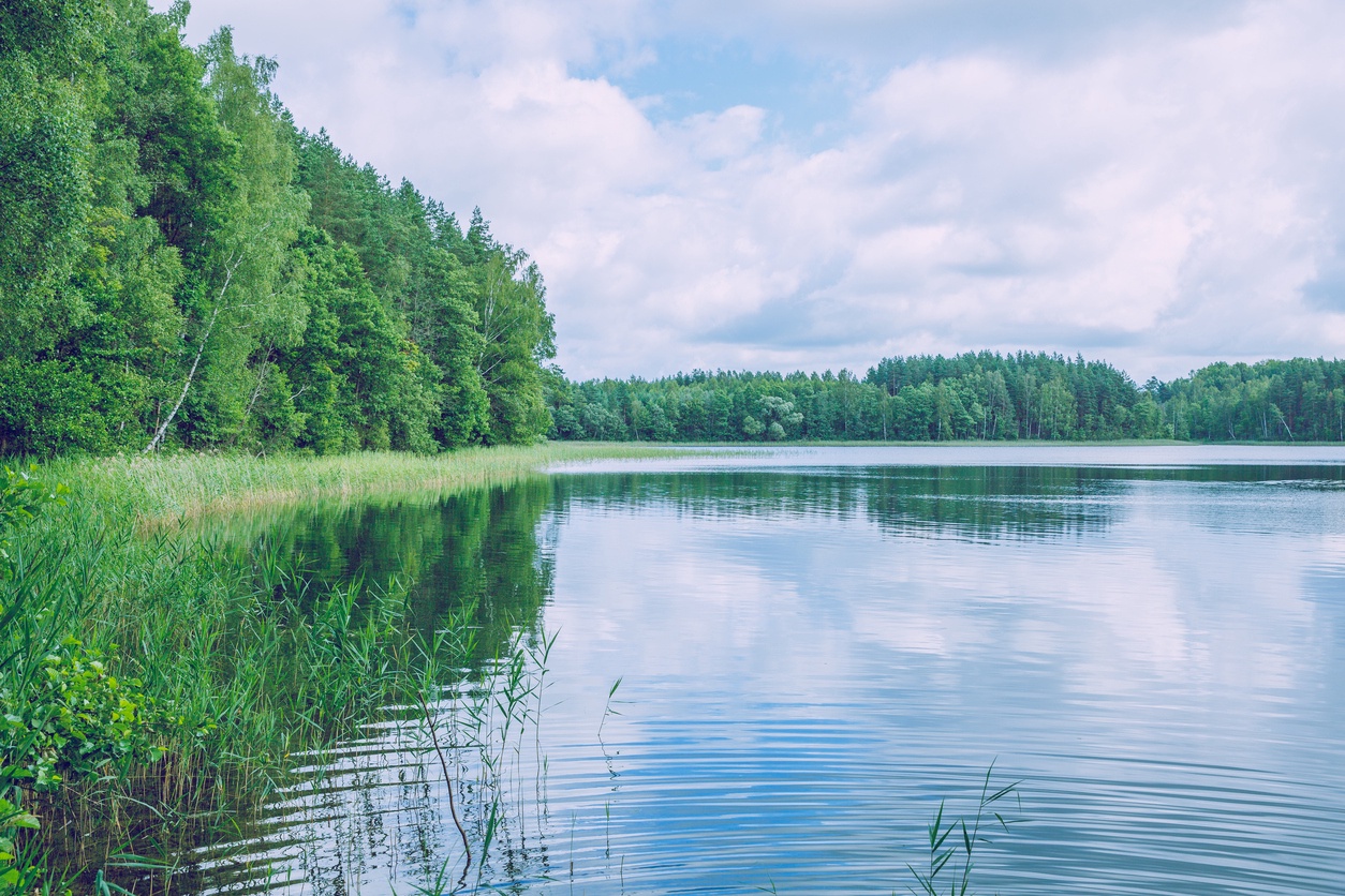 Still Lake in Latvia: A Haven of Tranquility and Wonder