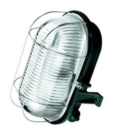 Lamp Lena Oval 20103, 60W IP44, valge
