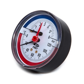 Termomanomeeter Watts 0-6 bar, 1/2, 10