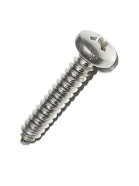 Savisriegis DIN7981C, 4,2x25 mm, 30 vnt.