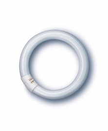 LUMIN.TORU 32W 27 G10Q T9 CIRCLE
