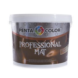 LAEVÄRV PROFESSIONAL MAT 10L VALGE