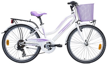 Jalgratas Lombardo Panerea CL46VD, 24"