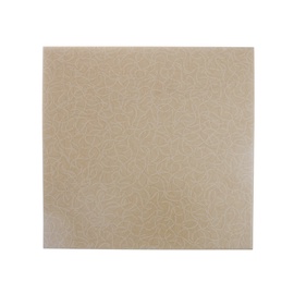 FLĪZESEL GRIND SALSA BEIGE 33X33