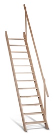 KĀPNES KOKA ATRIUM JANO