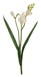 MĀKSLĪGĀ 2 ZIEDU PUĶE FRĒZIJA 80-030672