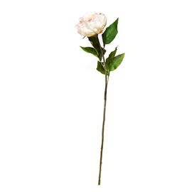 DABĪGA IZSKATA MĀKSLĪGĀ PUĶE PEONIJA 80-