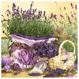 SALVETES SDOG 006701 33X33CM 3SL 20GAB