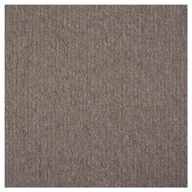 PAKLĀJA SEGUMS ASCOT 989
