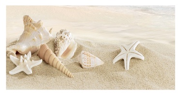 KER.ORNAMENT 25X50 FRE. SEASHELL BEIGE 3