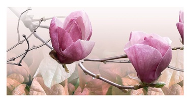 KER.ORNAMENT 25X50 FRESIA MAGNOLIA PINK1
