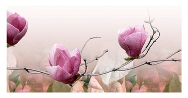 KER.ORNAMENT 25X50 FRESIA MAGNOLIA PINK2