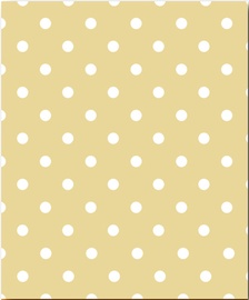 VASKADRĀNA 8132-1 160X120CM AR PAMAT.