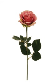 MĀKSLĪGĀ PUĶE ROZE ROZĀ KRĀSĀ 80-249418