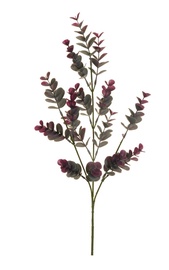 MĀKSLĪGS ZARS EIKALIPTS, VIOLETĀ KRĀSĀ