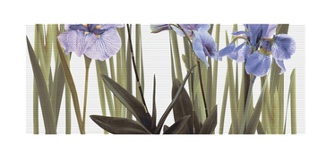 Flīzes sienai Iris 3 20x50cm 13 gab.