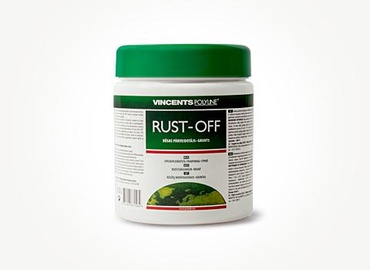Roostet peatav krunt Rust-Off, 0.25l