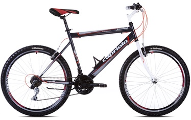 DIVRITENIS PASSION M 26 (CAPRIOLO)