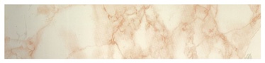 LIPĪGĀ PLĒVE 280-3166
