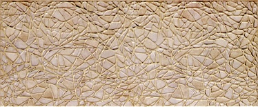 Flīzes sienai Tango Lita Amber 25x60cm 6 gab.
