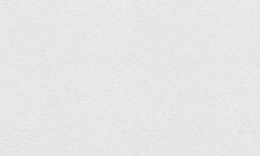 Tapetes Rasch Wallton 166118, 1,06x25m