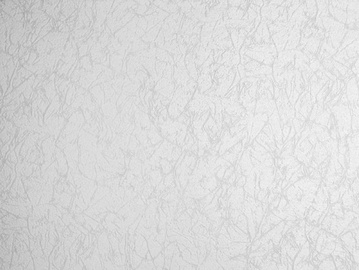 Tapetes AS Creation MV Protect 2631-17, 1,06x25m