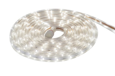 LED riba Brilliant Darius 5M CW IP65