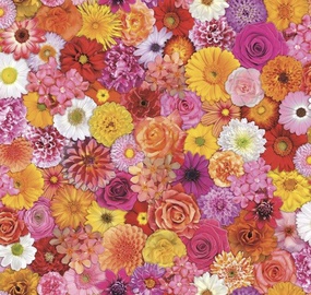 LAUDLINA 385-4586 140CM 20M/RULL