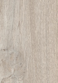 Laminaatparkett Cello 5552 tamm õlitatud valge, klass 32, 8mm