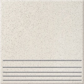 FLĪZES GRES 0645 PAKĀP 30X30X0.8 (1.35)
