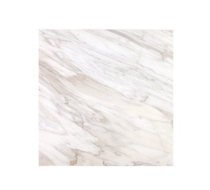AKM. FL.OCTAVIAN LIGH LAPPATO 60X60(1.44