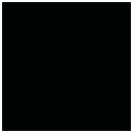 FLĪZES GRES BLACK POL CH6005 60X60