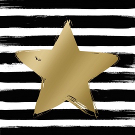 SALVETES 1332298 STAR&STRIP 33X33 20GAB (PPD)