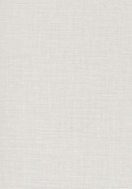 SIENAS PLĀTNE INTERIOR52 2700X580 PAPĪRS