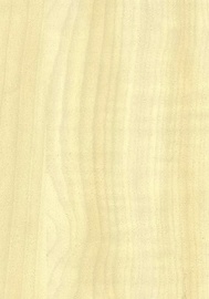 SEINAPANEEL TIMBER 32 580X2700 /6,26M2