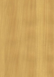 SEINAPANEEL TIMBER 33 580X2700 /6,26M2