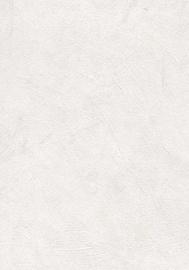 SEINAPANEEL DECOR 42 580X2550 /5,92M2