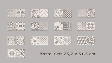KER.PLAAT 25,7X51,5 BRISTOL HALL