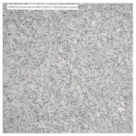 Trepiaste graniidist White Beauty, 300x300x20mm, põletatud