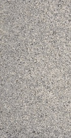 Trepiaste graniidist Arabian Black, 300x600x20mm, põletatud